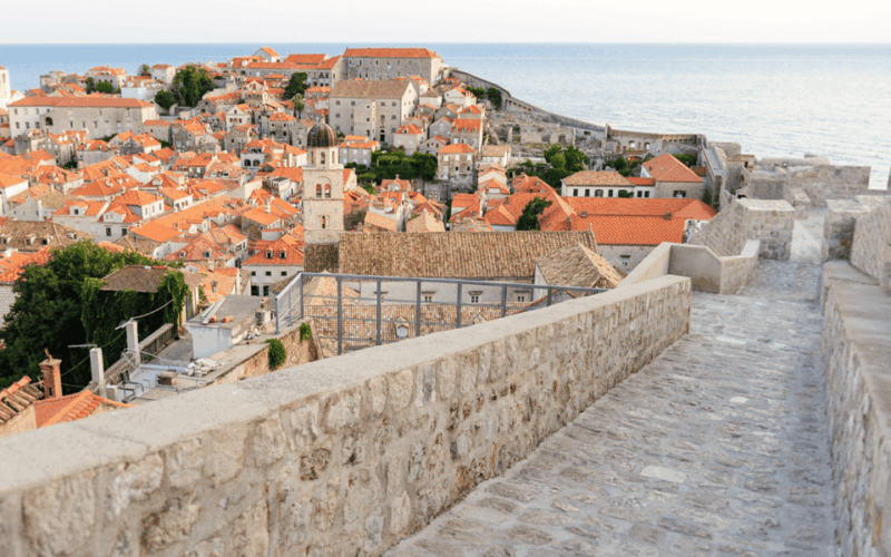 Herceg Novi to Dubrovnik One Way Transfer - Vehicle and Driver