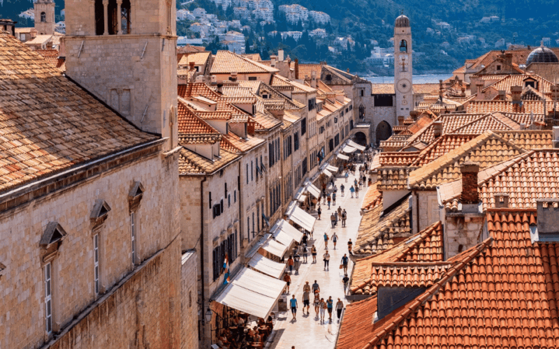 Herceg Novi to Dubrovnik One Way Transfer - Inclusions