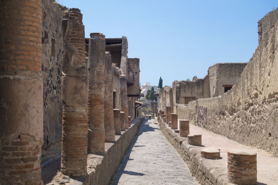 Herculaneum 2-Hour Private Guided Tour - Entrance Ticket and Guided Tour