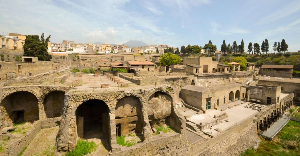 Herculaneum 2-Hour Private Guided Tour - Exploring the Preserved Murals and Artwork