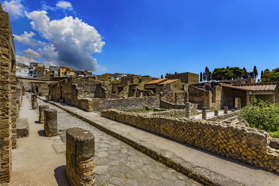 Herculaneum 2-Hour Private Guided Tour - Guests Under 18 and Free Entry