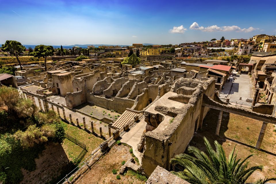 Herculaneum 2-Hour Private Guided Tour - Booking and Cancellation Policy
