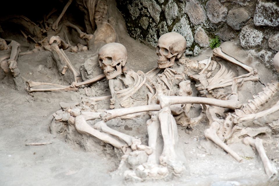 Herculaneum: 2-Hour Skip-The-Line Tour From Sorrento - Journey Back in Time to Herculaneum