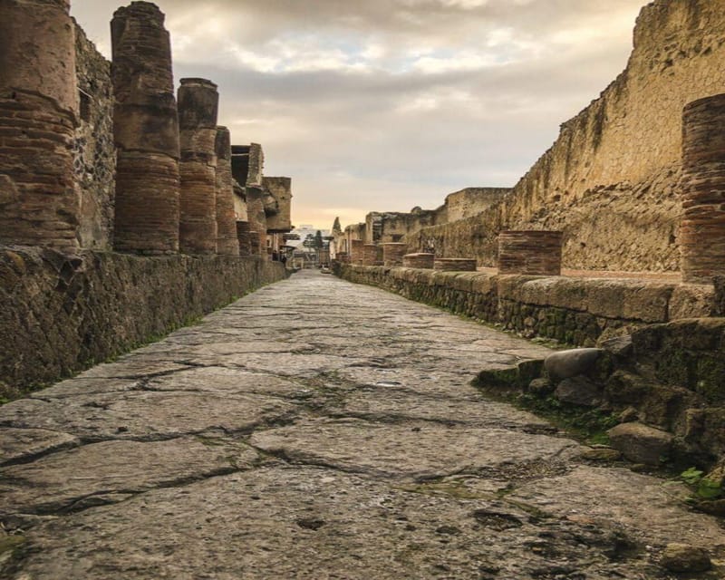 Herculaneum: 2H Private Tour - Key Points
