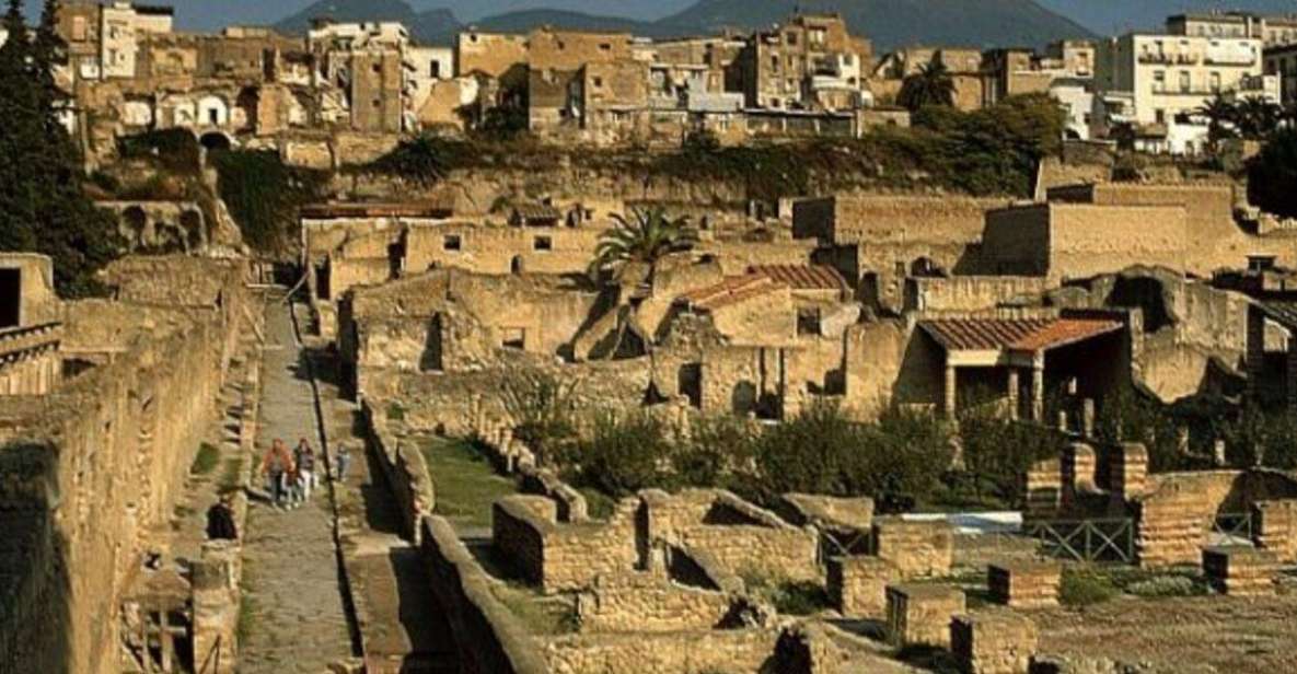 Herculaneum: 2hour Shared Guided Tour + Entry Tickets - Booking Details
