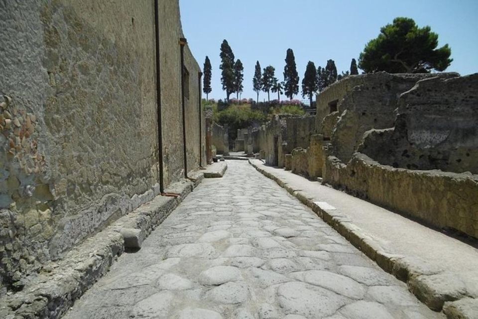 Herculaneum and Archeological Museum of Naples Private Tour - Additional Tour Information