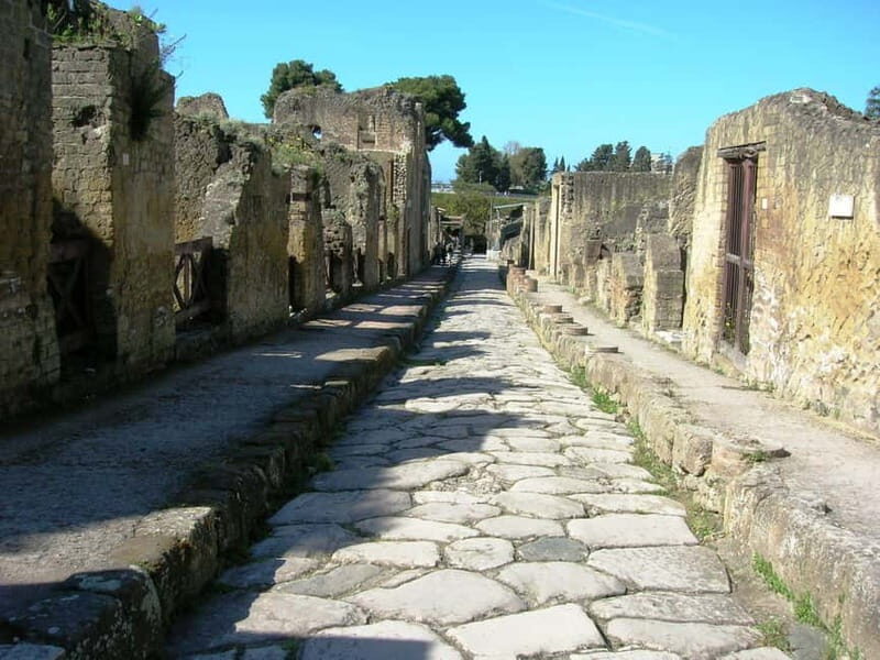 HERCULANEUM AND VESUVIUS: PRESTIGE TOUR FROM NAPLES - The Practicalities: Transport, Timing, and Group Size