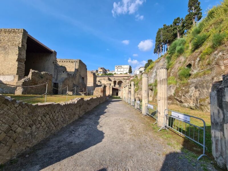 Herculaneum Archaeological Park Smart Audio Tour - User Ratings and Feedback