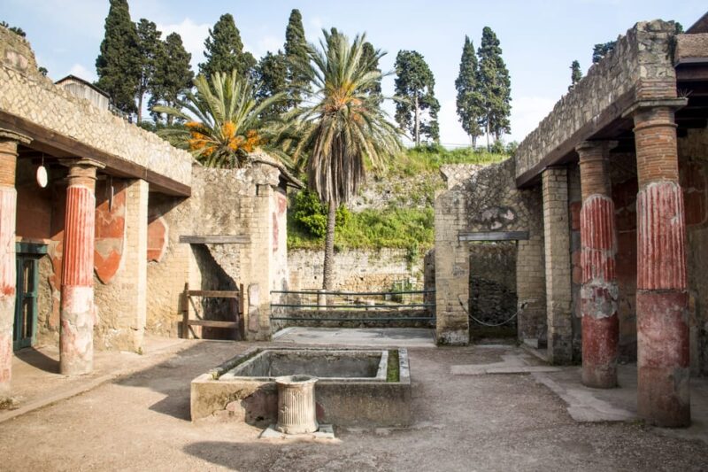 Herculaneum Entry Ticket and Pemcards W/ Optional Audioguide - Customer Ratings and Feedback