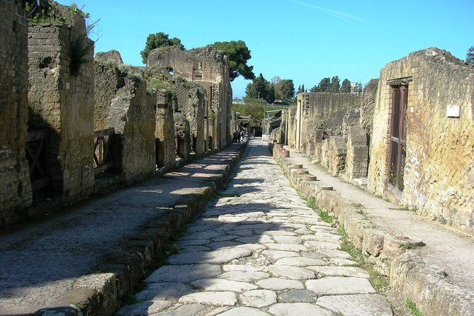Herculaneum Guided Tour & Amalfi Coast Private Tour with Driver from Naples - Practical Details and What’s Included