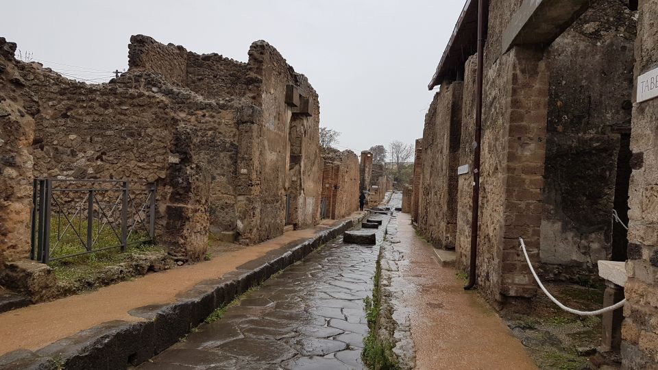 Herculaneum: Guided Walking Tour With Priority Admission - What to Expect on the Tour