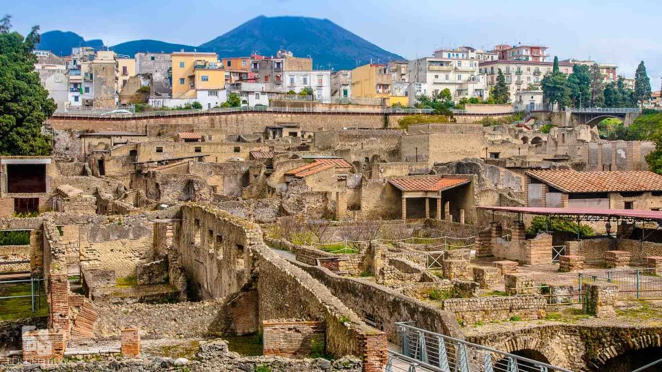 Herculaneum: Half-Day Guided Trip From Naples - Suitability for Mobility Impaired Visitors