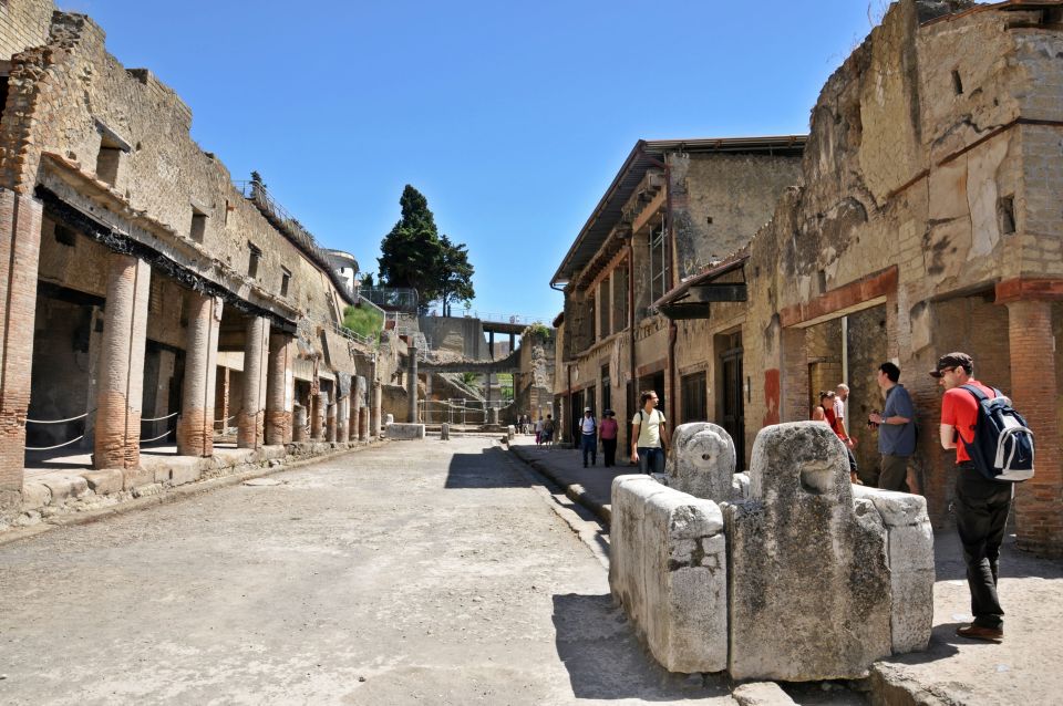 Herculaneum: Half-Day Guided Trip From Naples - Frequently Asked Questions