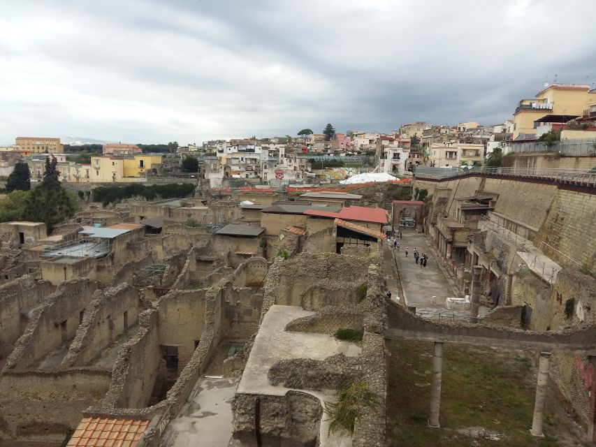 Herculaneum Half-Day Tour From Sorrento - Experience Highlights