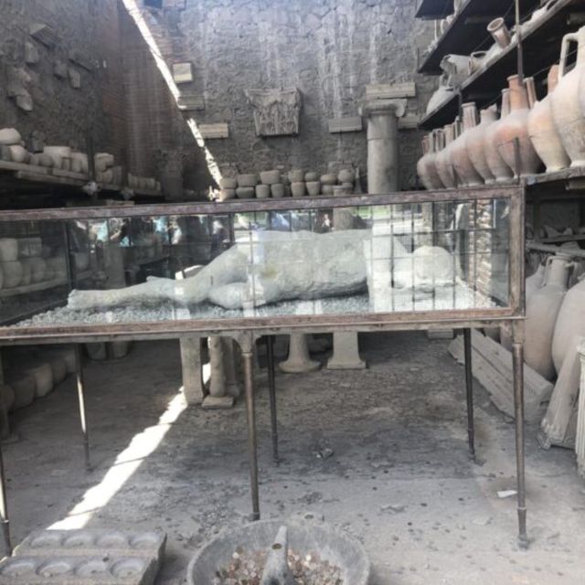 Herculaneum, Pompeii and Paestum Private Day Tour From Rome - Key Points