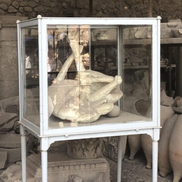 Herculaneum, Pompeii and Paestum Private Day Tour From Rome - Directions