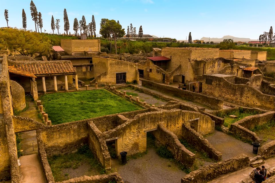 Herculaneum: Private Walking Tour With Archeologist Guide - Accessibility and Meeting Point