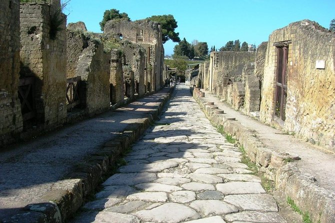 Herculaneum Ruins Private Half-Day Tour - Inclusions and Exclusions