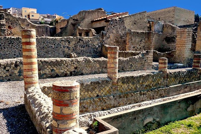 HERCULANEUM Skip-The-Line Tour From Sorrento - Entrance Fee and Guide