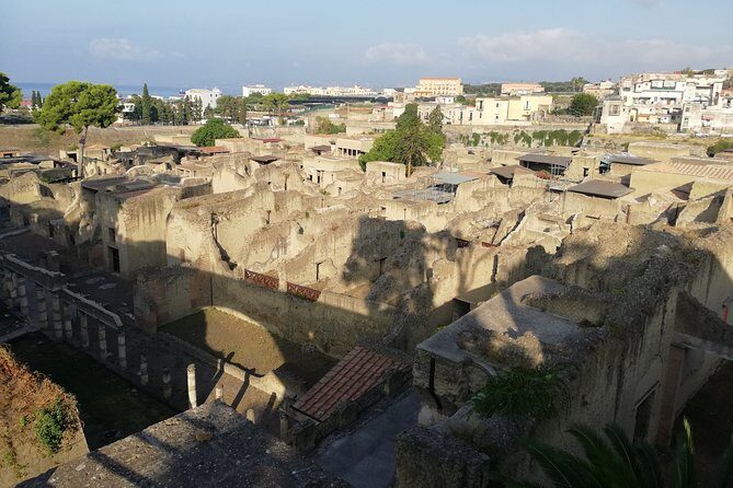 Herculaneum walking tour - Who Should Consider This Tour?  