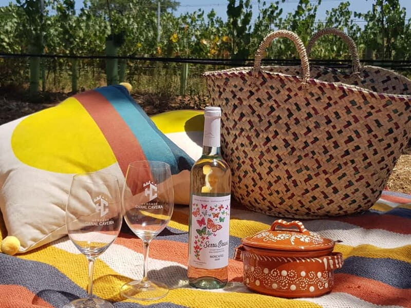 Herdade Canal Caveira - Visit Winery & Picnic - Key Points