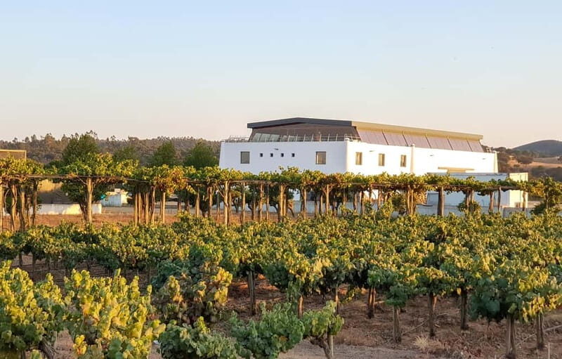 Herdade Canal Caveira - Visit Winery & Picnic - Practical Tips for Travelers