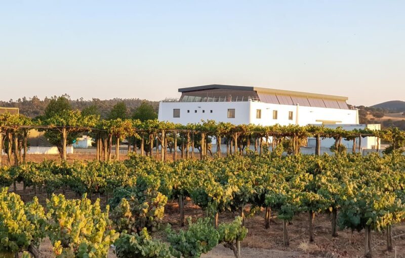 Herdade Canal Caveira - Winery Visit 4 Wines & Tapas - Introduction