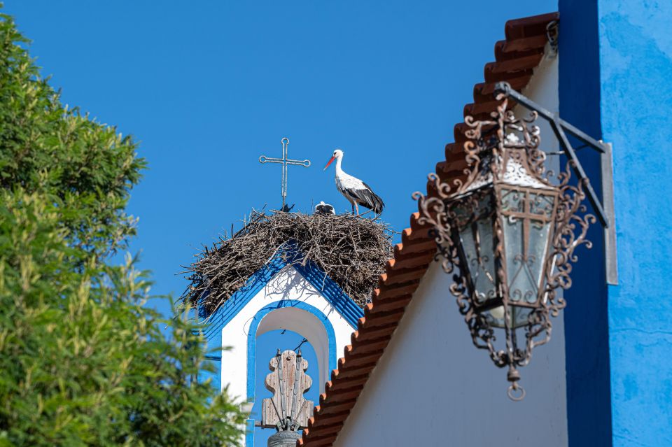 Herdade Da Comporta Reserve Winetasting - Overview of Herdade Da Comporta