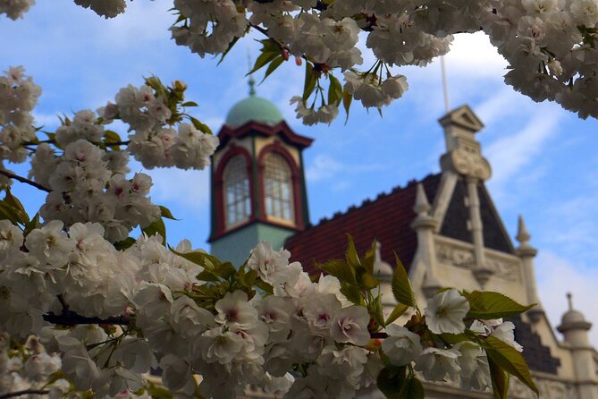 Heritage Dunedin City Walking Guided Tour - Additional Activities in Dunedin