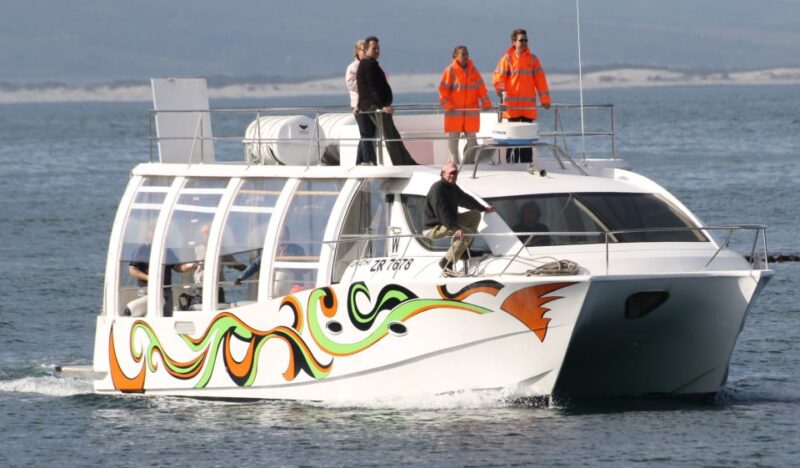 Hermanus: Boat Based Whale Watching Experience - Highlights of the Experience