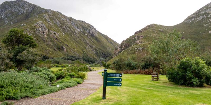 Hermanus: Private Full Day Tour - Good To Know