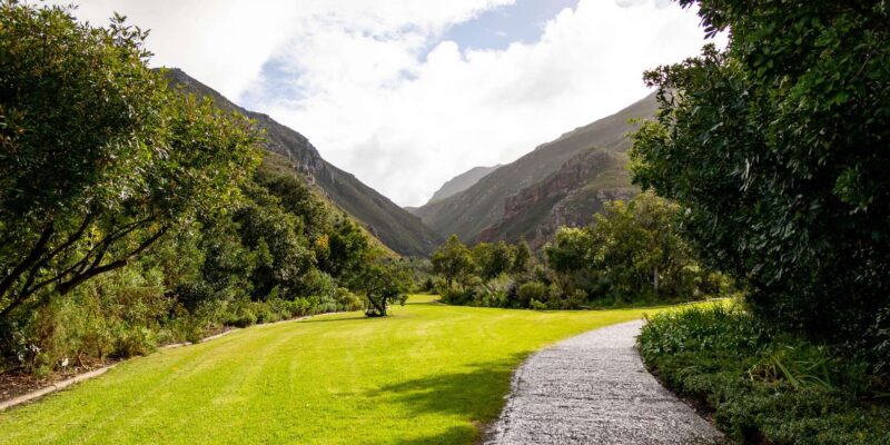 Hermanus: Private Full Day Tour - Scenic Coastal Drive
