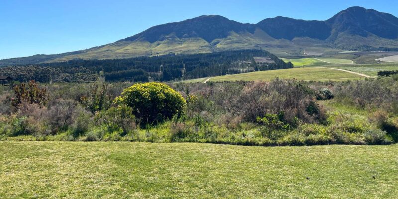Hermanus: Private Full Day Tour - Dining Options