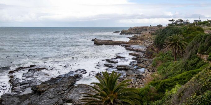 Hermanus: Private Full Day Tour - Reserving Your Tour