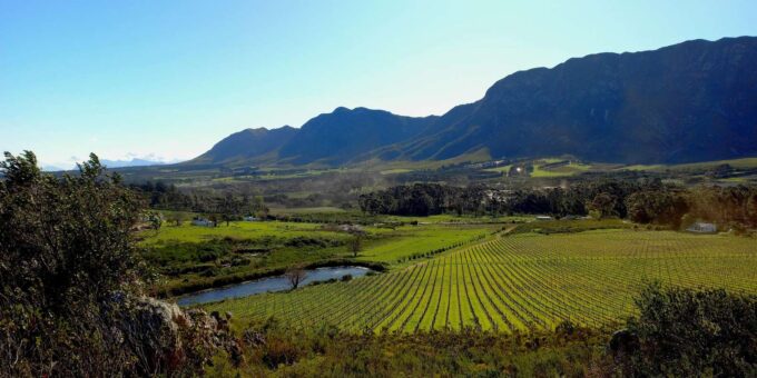 Hermanus: Private Full Day Tour - The Sum Up