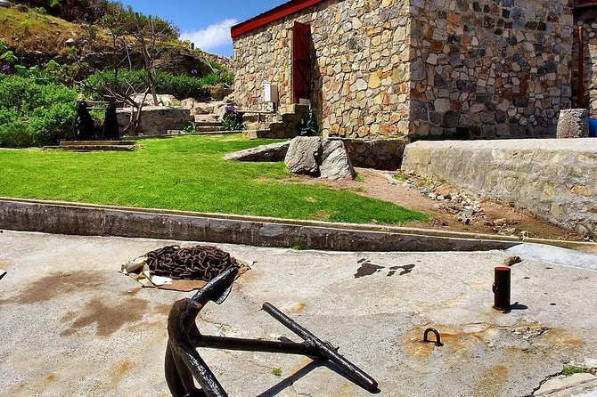 Hermanus Whale Watching Day Trip From Cape Town - Included Activities and Experiences