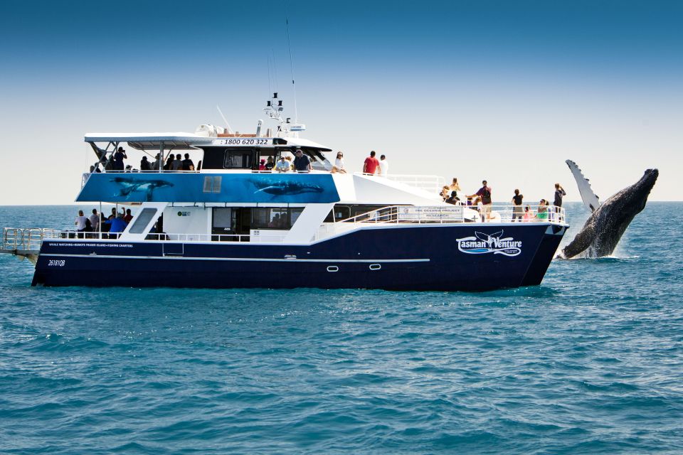 Hervey Bay 4-Hour Whale Watch Encounter - Transportation and Logistics
