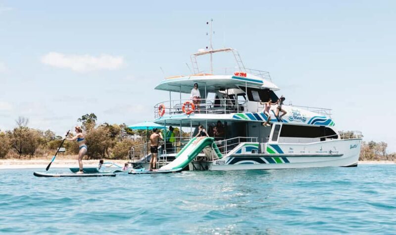 Hervey Bay: Aqua Oasis Cruise - The Activities: From Relaxation to Action