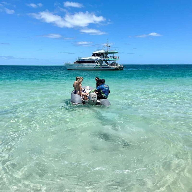 Hervey Bay: Aqua Oasis Cruise - What to Expect and What to Bring