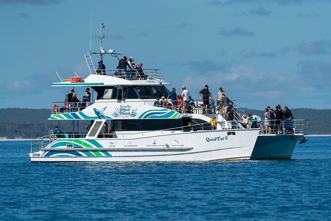 Hervey Bay: Best Value Half Day Whale Watching Cruise - Key Points