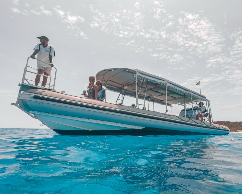 Hervey Bay: Half-Day Whale and Island Adventure by Boat - Key Points