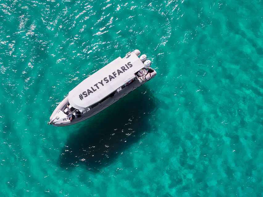 Hervey Bay: Half-Day Whale and Island Adventure by Boat - Important Information