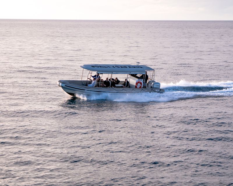 Hervey Bay: Half-Day Whale and Island Adventure by Boat - Frequently Asked Questions