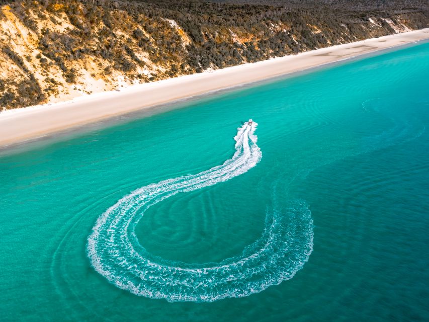 Hervey Bay: Half-Day Whale and Island Adventure by Boat - Recap