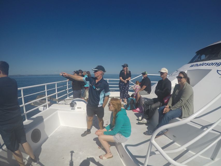 Hervey Bay: Half-Day Whale Watching Experience - Customer Reviews