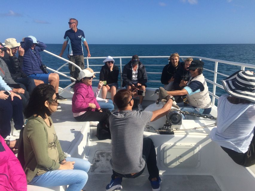 Hervey Bay: Half-Day Whale Watching Experience - Frequently Asked Questions