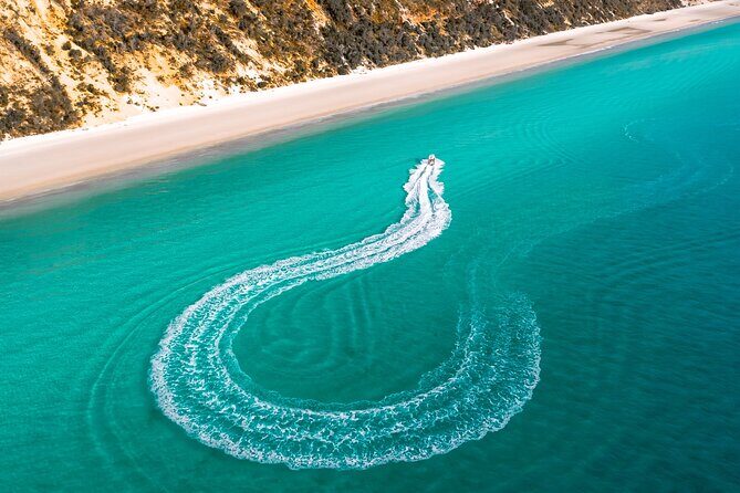 Hervey Bay: Half Day Whale watching & Island Stop Tour - An In-Depth Look at the Experience