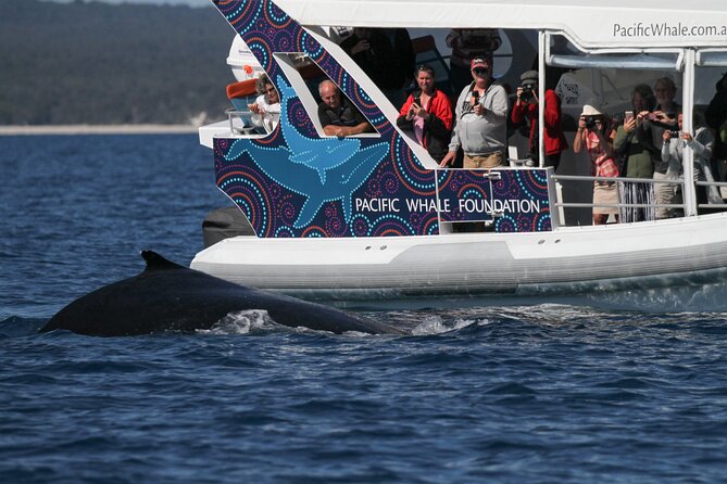 Hervey Bay Ultimate Whale Watching Cruise - Meeting Point and Policies