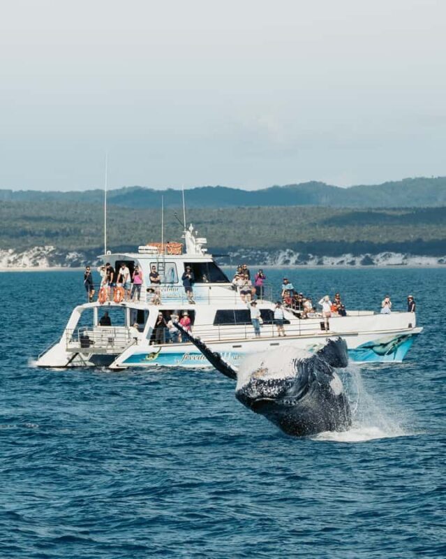 Hervey Bay Whale Odyssey Cruise - FAQ
