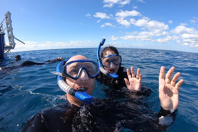 Hervey Bay Whale Swim and Watch - What to Bring